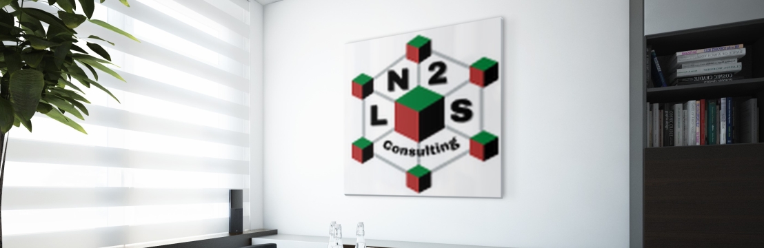 LN2S Consulting L.L.C.