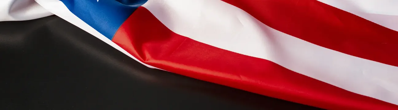 The Black Agenda and Vote 2024
