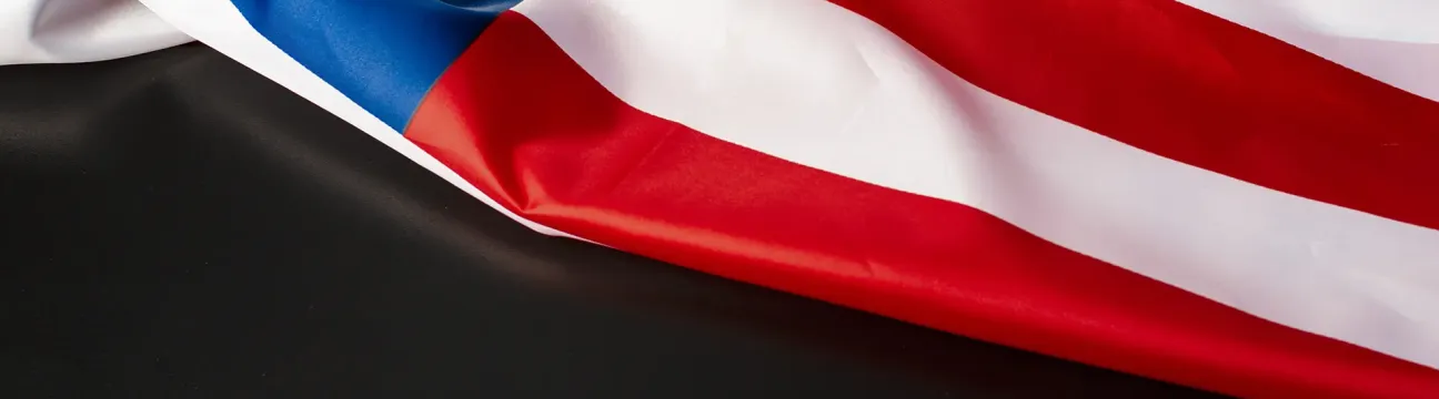 The Black Agenda and Vote
