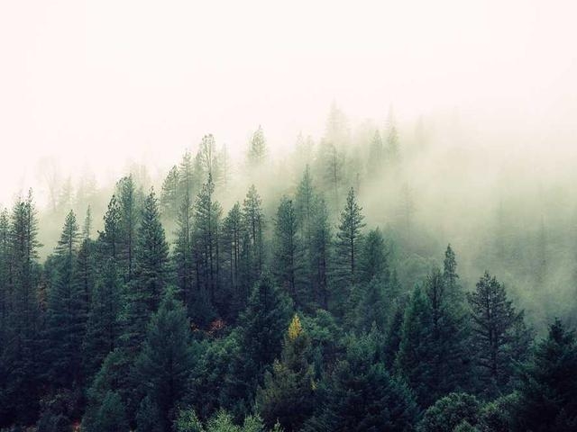 presley_olson_5OQ0