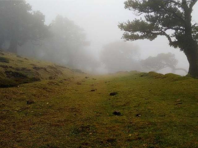 kuvalis_lola_bbak
