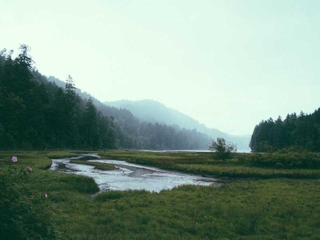 dibbert_trace_3Ynr
