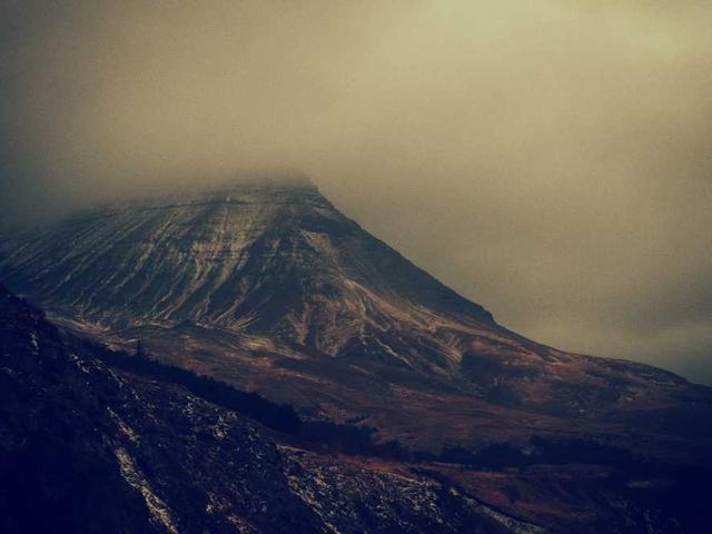 leland02_gycr