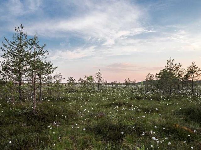 grunolfsdottir_swo7